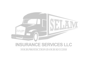 selam_insurance_light_grey-removebg-preview.png